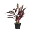 Umjetna biljka (visina 55 cm) Bird of Paradise – Ixia