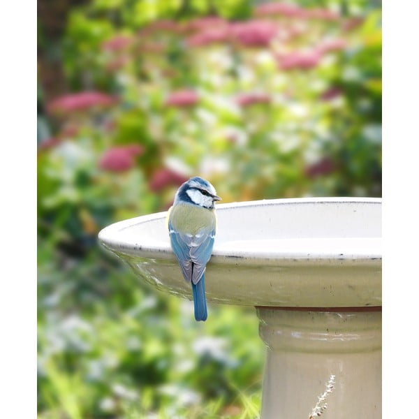 Hranilica za ptice – Esschert Design-image-2