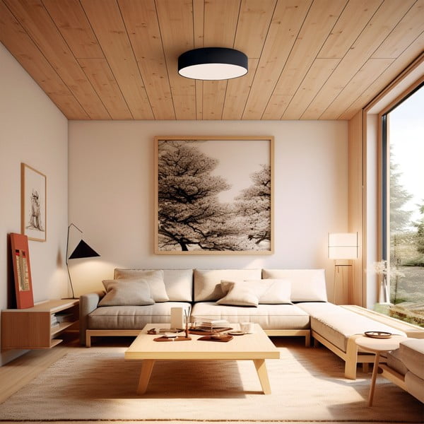 Crna LED stropna svjetiljka ø 60 cm – SULION-image-1