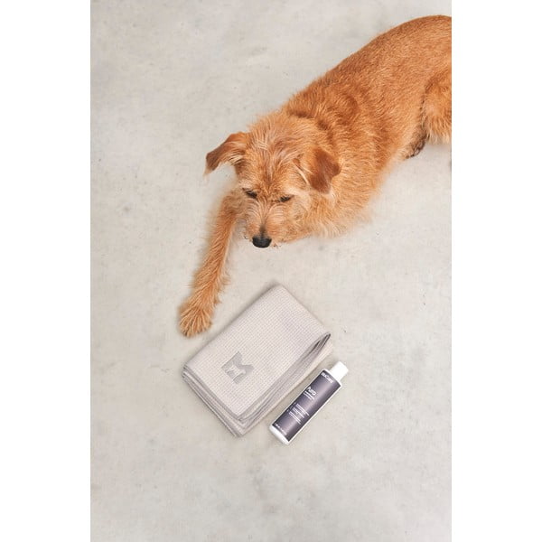 Ručnik za kućnog ljubimca Panno Greige S/M – MiaCara-image-4