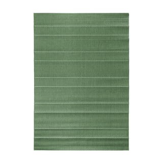 Zeleni tepih pogodan za vanjsku uporabu Hanse Sunshine Home, 120 x 170 cm