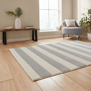 Svijetlo sivi tepih 120x170 cm Cove Stripe – Catherine Lansfield