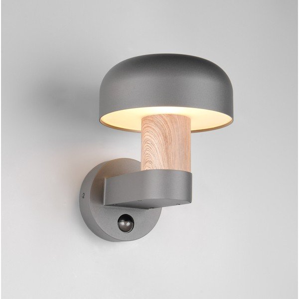 Zidna vanjska svjetiljka (visina 24,5 cm) Fraser – Trio-image-1