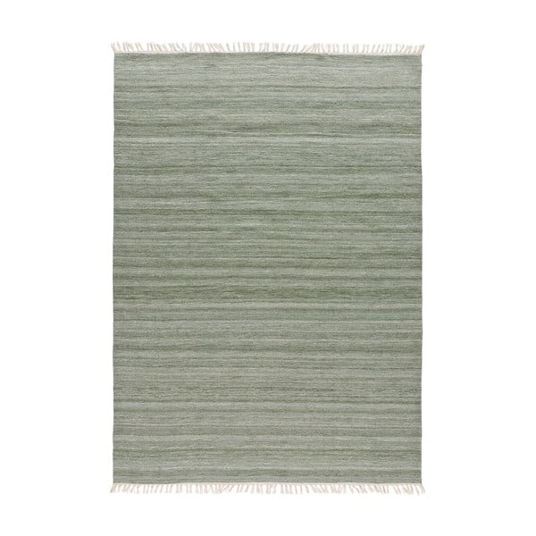 Zeleni vanjski tepih od reciklirane plastike Universal Liso, 140 x 200 cm