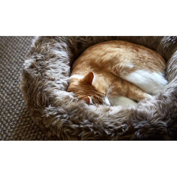 Krem krevet za kućne ljubimce od umjetnog krzna  ø 50 cm Lana Ivory/Mottled Natural – MiaCara-image-2