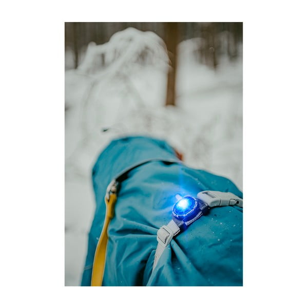 LED svjetlo za ovratnik Blue - Orbiloc-image-3