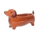 Porculanska ukrasna posuda 5x14 cm Sausage Dog – Sass & Belle
