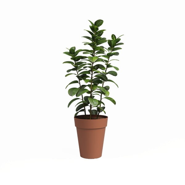 Posuda za cvijeće od reciklirane plastike ø 40 cm Capri – Artevasi-image-1