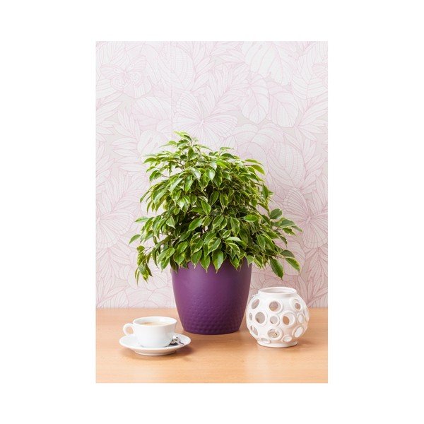 Ljubičasta posuda za cvijeće Plastia Perla, ø 19 cm-image-1