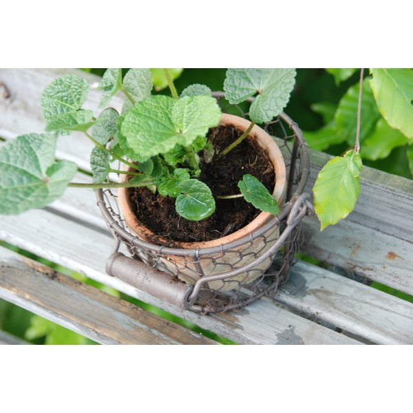 Ručno rađena posuda za cvijeće od terakote ø 12 cm – Esschert Design-image-4