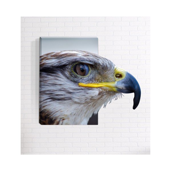 Zidna 3D slika Mosticx Eagle, 40 x 60 cm