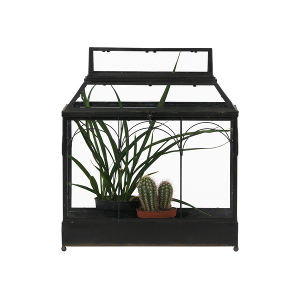 BePureHome Terarij za uzgoj cvijeća-image-1