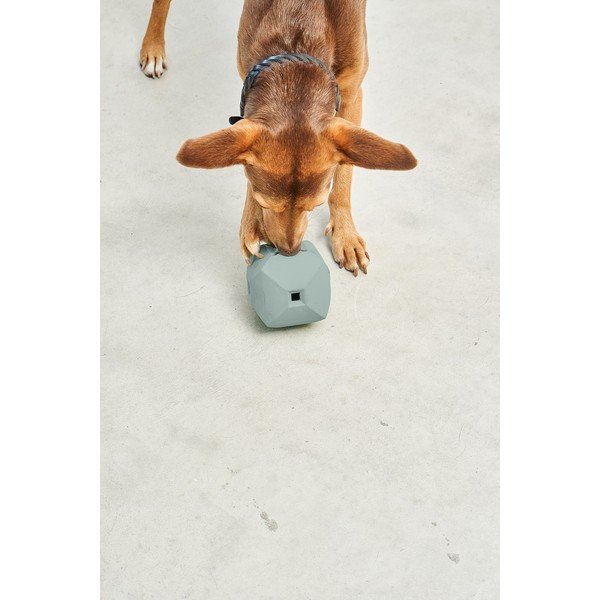 Igračka za psa Dado Eucalyptus – MiaCara-image-3