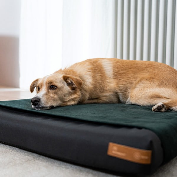 Crni ortopedski madrac za pse 70x60 cm Ori L – Rexproduct-image-2