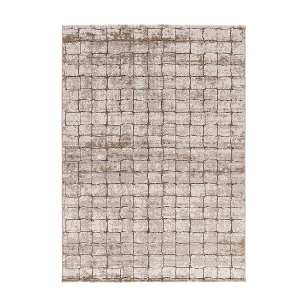 Sivo-bež tepih 80x120 cm Ceres – Universal