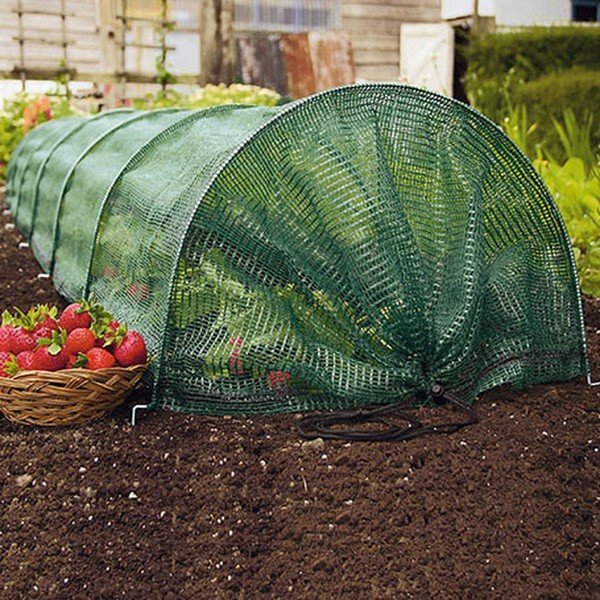 Vrtna deka – Garden Pleasure