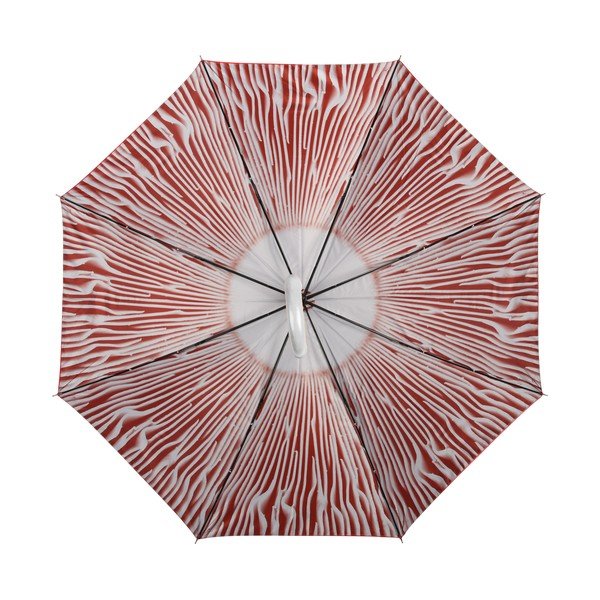 Crveni kišobran Esschert Design Toadstool-image-3