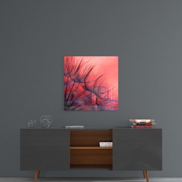 Staklena slika insigne crvena maslačak, 40 x 40 cm-image-1