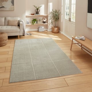 Svijetlo sivi tepih 160x230 cm Elio Silver – Think Rugs