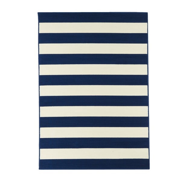 Plavo-bijeli vanjski tepih Floorita Stripes, 160 x 230 cm
