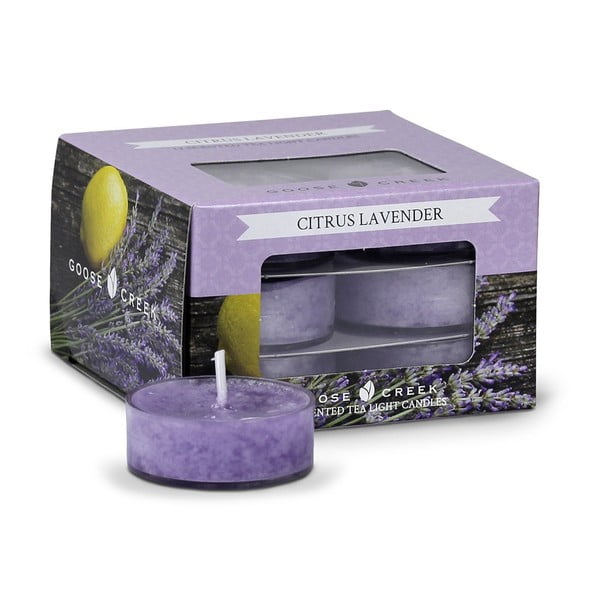 Set od 12 čajnih svijeća Goose Creek Citrus Lavender