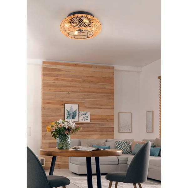 Smeđa stropna svjetiljka s daljinskim upravljačem/s ventilatorom Lillesand – Trio-image-2