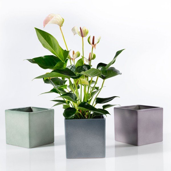 Zelena keramička tegla Big pots Latina, 15 x 15 cm-image-2