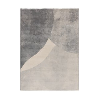 Sivi tepih 140x200 cm Monic – Universal