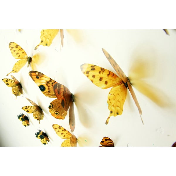 Set od 18 žutih naljepnica s 3D efektom Ambience Butterflies