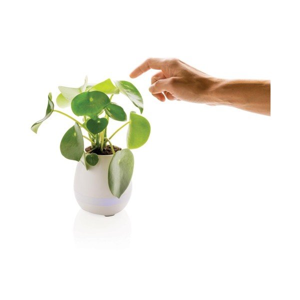 Bijela saksija s ugrađenim XD Design Flower zvučnikom-image-2