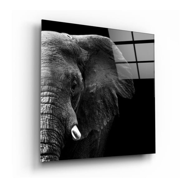 Slika na staklu Insigne Elephant, 100 x 100 cm