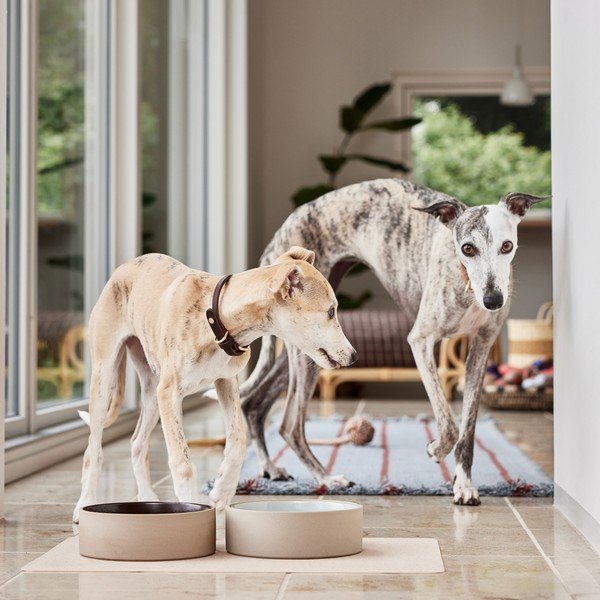 Keramička zdjela za hranu za ljubimce za pse ø 17 cm Sia – OYOY Living Design-image-1