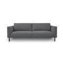 Tamno siva sofa 229 cm Hero – Scandic