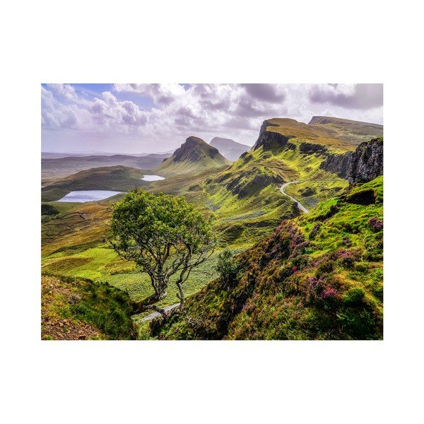 Slika Styler Canvas Scotland Nature, 85 x 113 cm-image-1