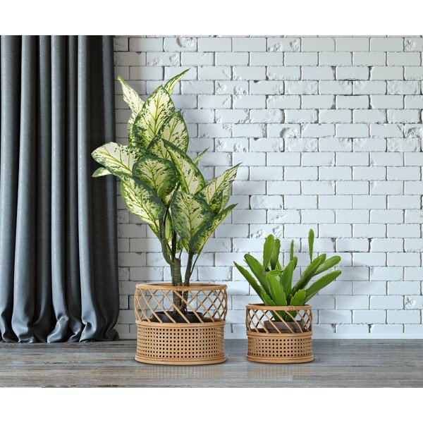 Metalne navlake za tegle u kompletu 2 kom ø 30 cm Panama – Mauro Ferretti-image-1