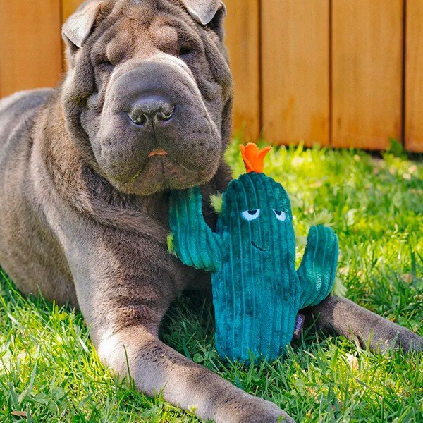 Igračka za psa Kaktus - P.L.A.Y.-image-1
