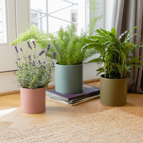 Porculanske navlake za tegle u kompletu 3 kom za bilje ø 17 cm Turin – Remember-image-1