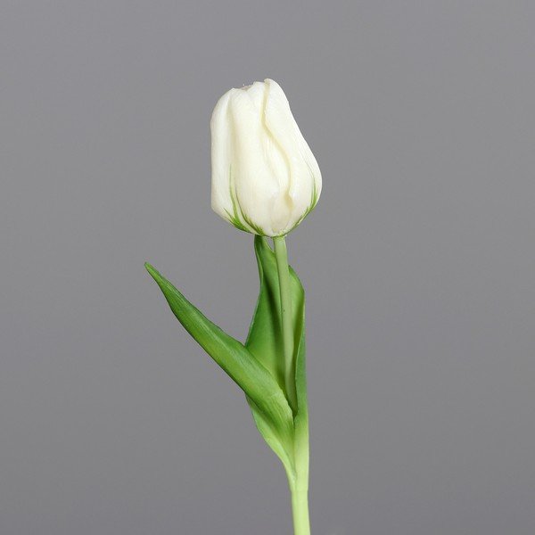 Umjetna biljka (visina 20 cm) Tulip – Ego Dekor