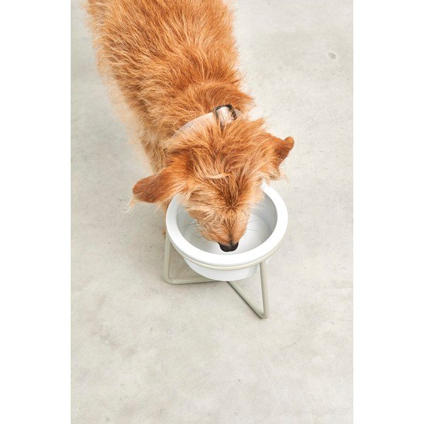 Porculanska posuda s postoljem za pse ø 20 cm Pranzo Greige M – MiaCara-image-3