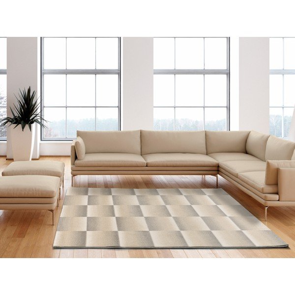 Sivi/krem tepih 160x230 cm Sensation – Universal-image-2