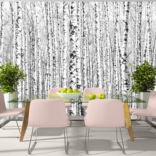 Veliki format Wallpaper Artgeist Birch šuma, 400 x 280 cm-image-1