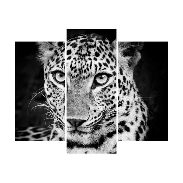 Naljepnica Ambiance Leopard-image-2