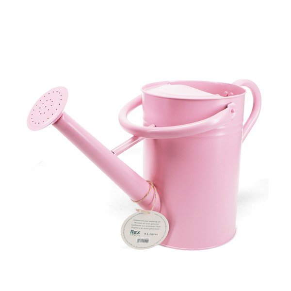 Metalna kanta za vodu 4,5 l – Rex London-image-2