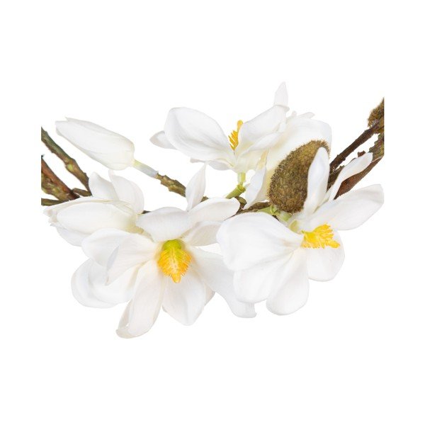 Vijenac Magnolia – Ixia-image-4