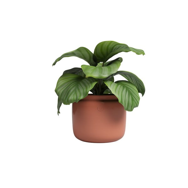 Keramička ručno rađena tegla za cvijeće ø 20 cm Astrea – Artevasi-image-4