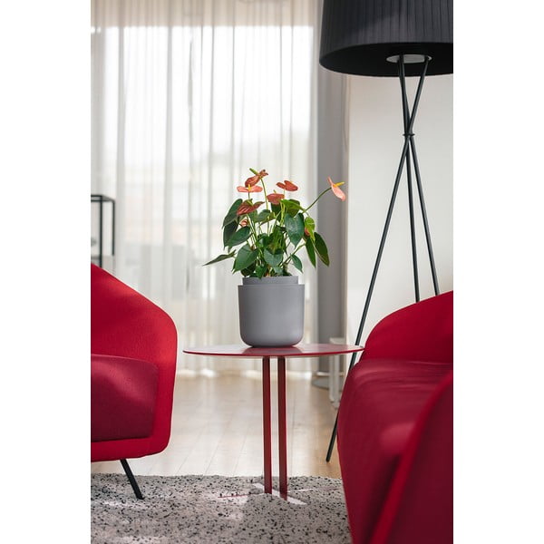 Siva samozalijevajuća tegla Plastia Tolita, ø 19 cm-image-2