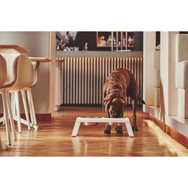 Metalni set posuda s postoljem za pse Desco White M – MiaCara-image-1