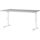 Radni stol 80x140 cm Downey – Germania