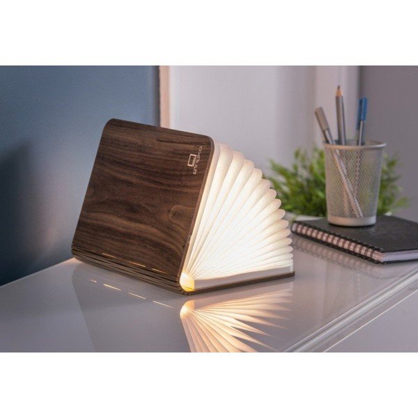 Smeđi svjetlosni ukras s USB Booklight – Gingko-image-3