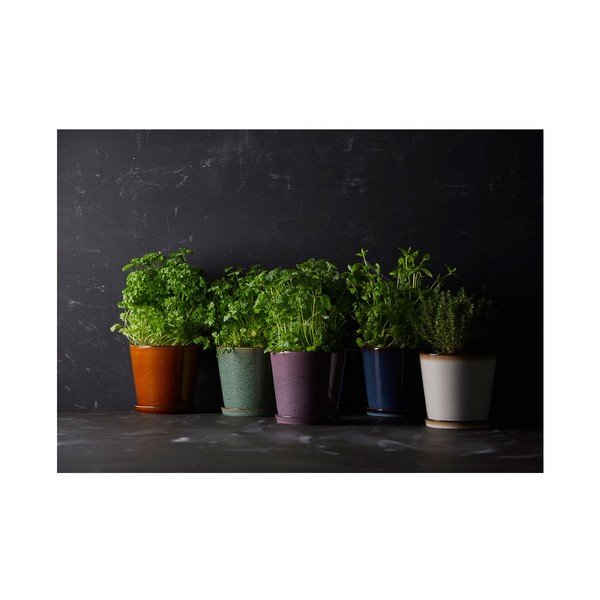 Ukrasna tegla za cvijeće od kamenine ø 14 cm Gastro Green/Black – Bitz-image-2